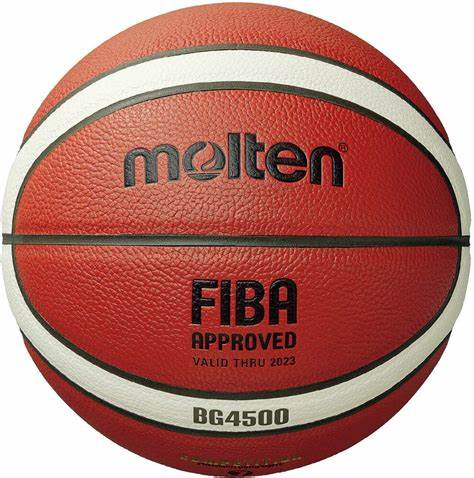 PELOTA MOLTEN BG4500