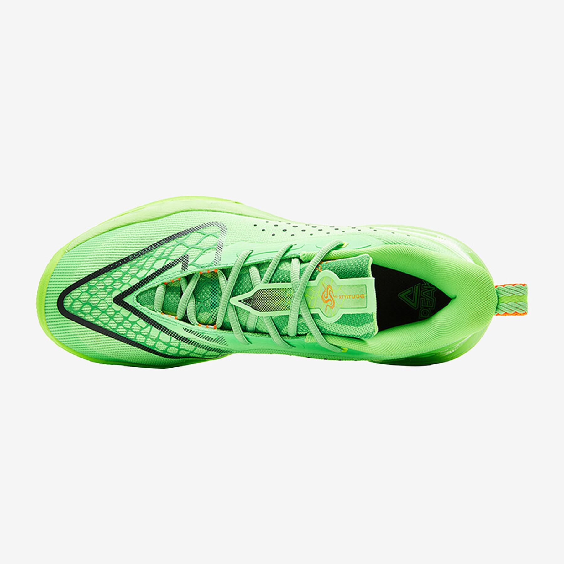 ZAPATILLA DE BASKET Y VOLEY Taichi Surging Big Triangle 4.0